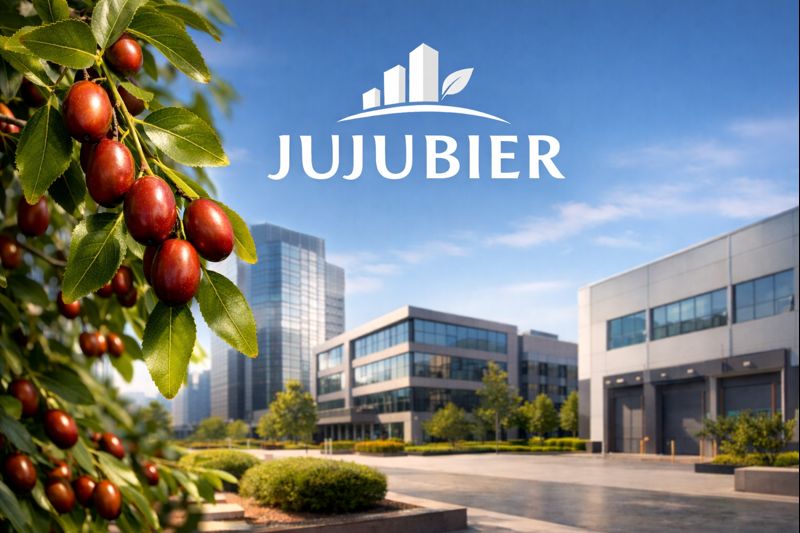 Jujubier
